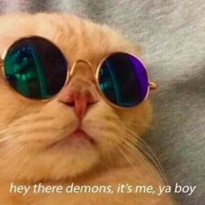 Meet your Posher, Ava